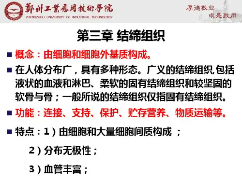 03第三章结缔组织