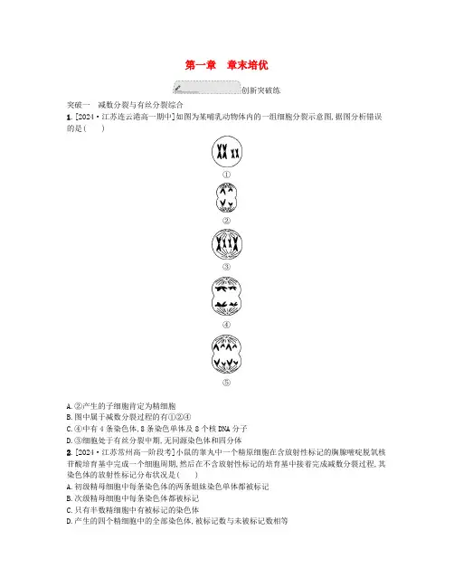 江苏专版2024_2025学年新教材高中生物第一章遗传的细胞基础章末培优苏教版必修2