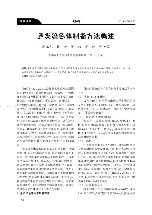 鱼类染色体制备方法概述