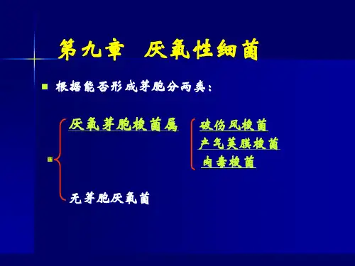 厌氧性细菌主题知识讲座