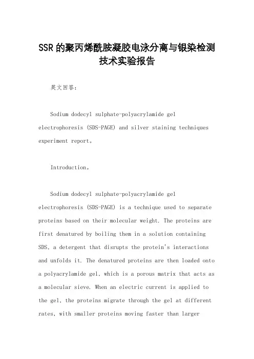 SSR的聚丙烯酰胺凝胶电泳分离与银染检测技术实验报告