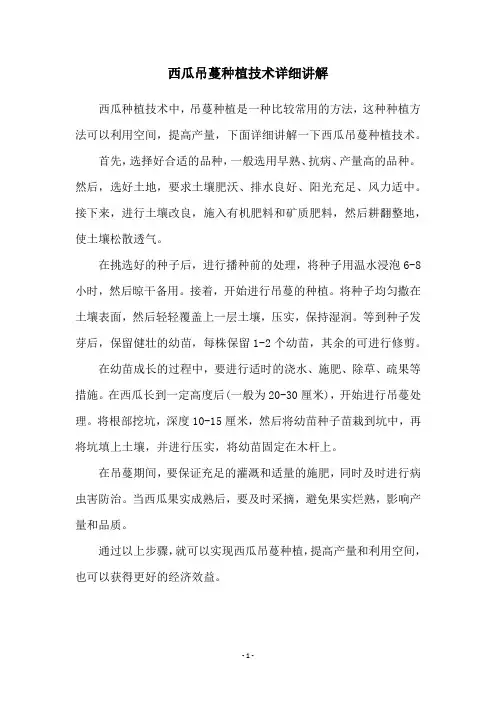西瓜吊蔓种植技术详细讲解