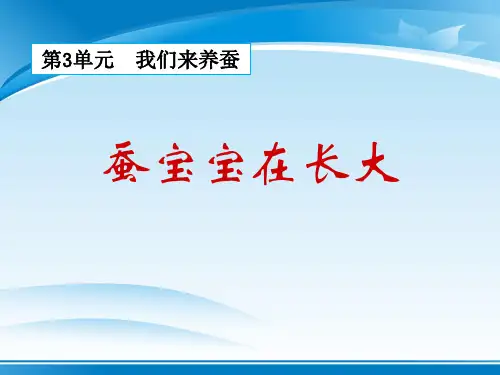 《蚕宝宝在长大》我们来养蚕PPT课件