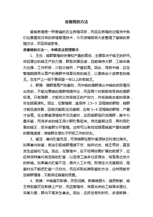 养蜜蜂的方法