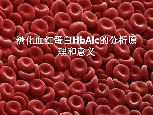 糖化血红蛋白PPT 共21页