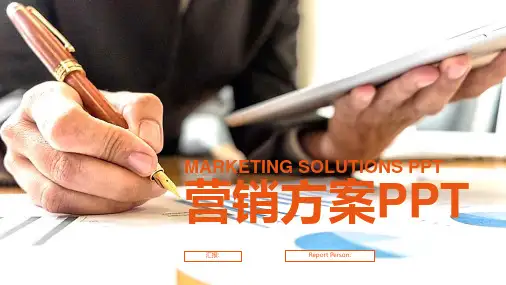 营销方案PPT(模板)