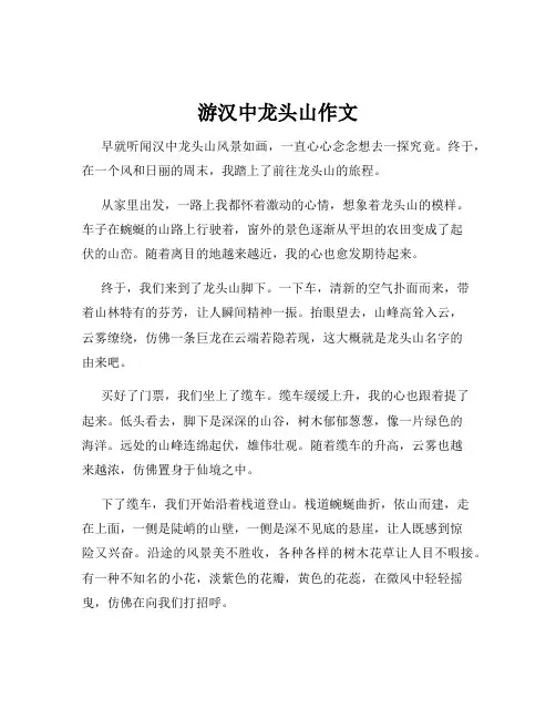 游汉中龙头山作文