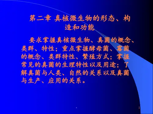 第二章真核微生物的类群与形态构造ppt课件