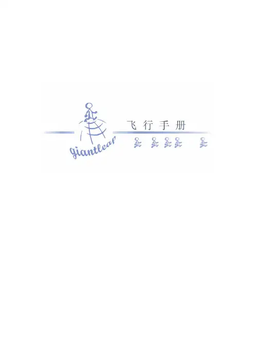 飞行手册