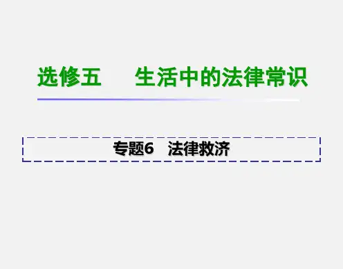 高考政治 一轮复习 专题6 法律救济