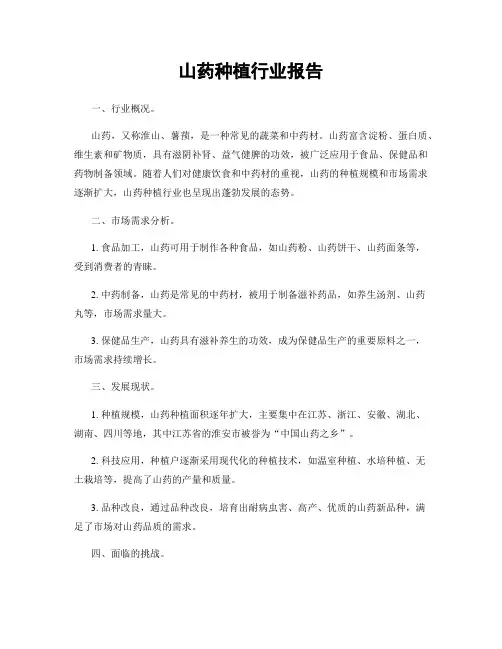 山药种植行业报告