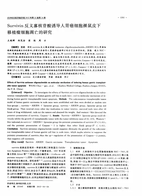 Survivin反义寡核苷酸诱导人胃癌细胞裸鼠皮下移植瘤细胞凋亡的研究
