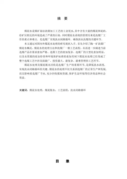 煤泥水处理的研究