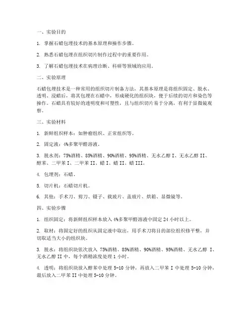 石蜡包埋技术实验报告