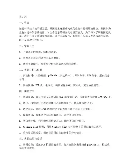 基因的实践报告(2篇)