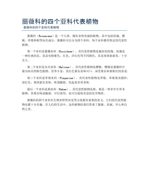 蔷薇科的四个亚科代表植物