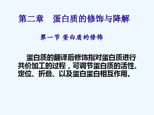 ln蛋白质的修饰与讲解