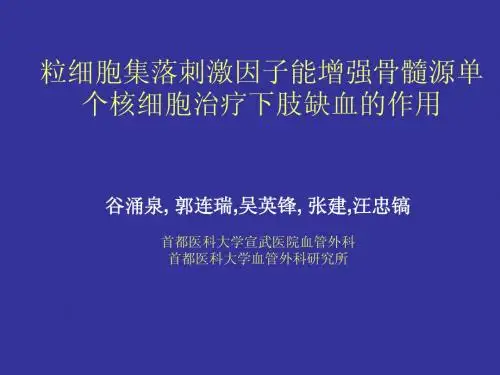 粒细胞集落刺激因子能增强骨髓源单个核细胞治疗下肢缺血的