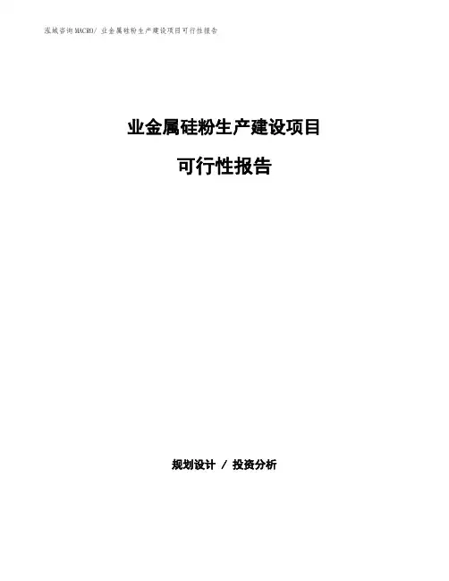 业金属硅粉生产建设项目可行性报告(总投资18491.02万元)