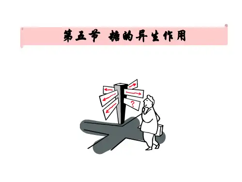 生物化学：第五节 糖的异生作用