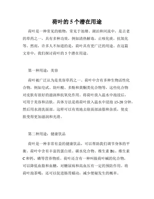荷叶的5个潜在用途