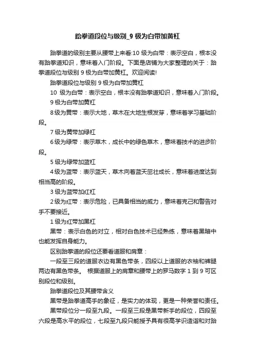 跆拳道段位与级别_9极为白带加黄杠