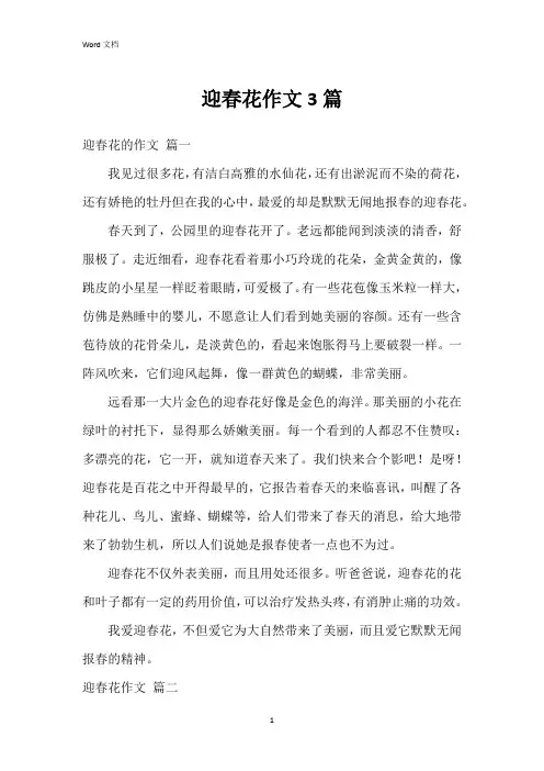 迎春花作文3篇