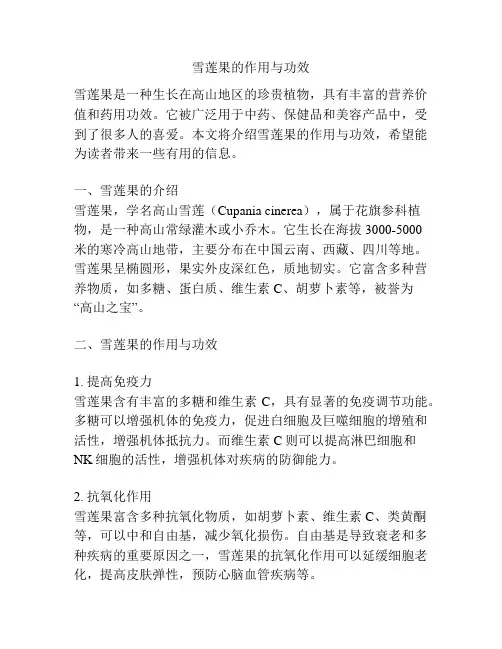 雪莲果的作用与功效