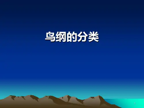 鸟类分类(二)PPT课件