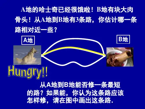 6.1线段射线直线1PPT课件