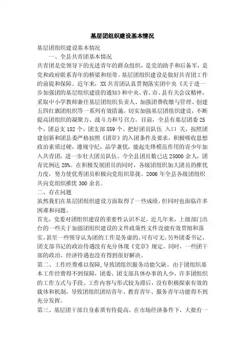 基层团组织建设基本情况（精简篇）