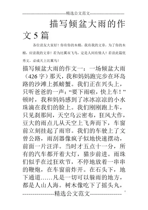 描写倾盆大雨的作文5篇