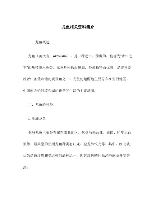 龙鱼相关资料简介