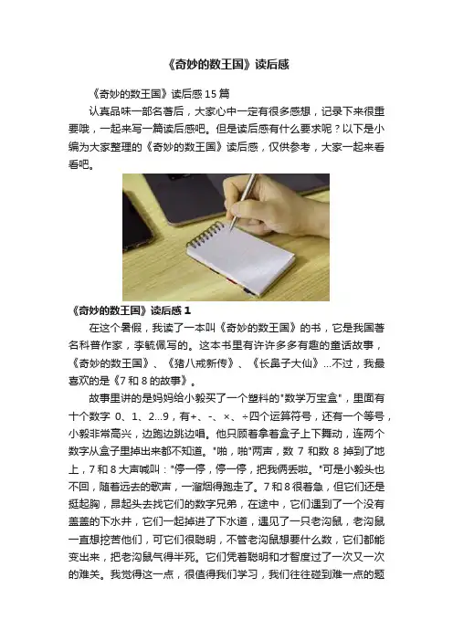 《奇妙的数王国》读后感