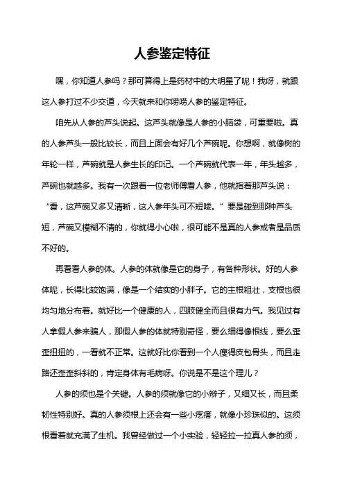 人参鉴定特征