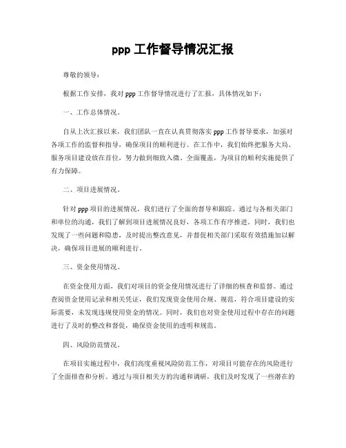ppp工作督导情况汇报