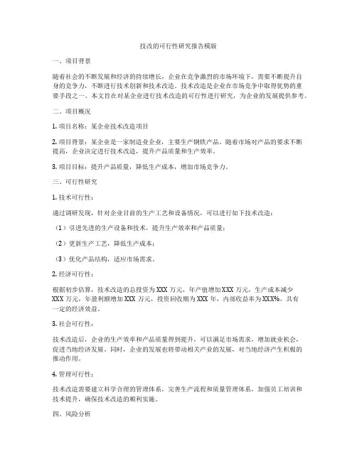 技改的可行性研究报告模版
