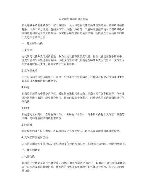 运动解剖肺部知识点总结