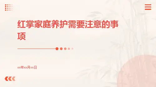 红掌家庭养护需要注意的事项