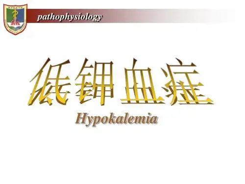 病生第三章 钾紊乱