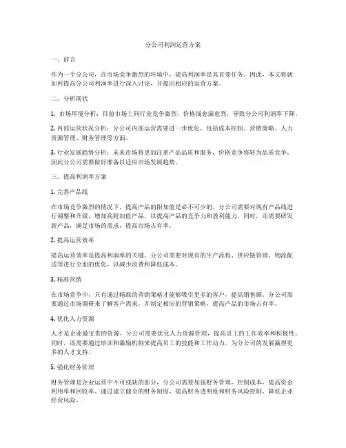 分公司利润运营方案