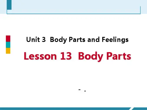 《Body Parts》Body Parts and Feelings PPT课件