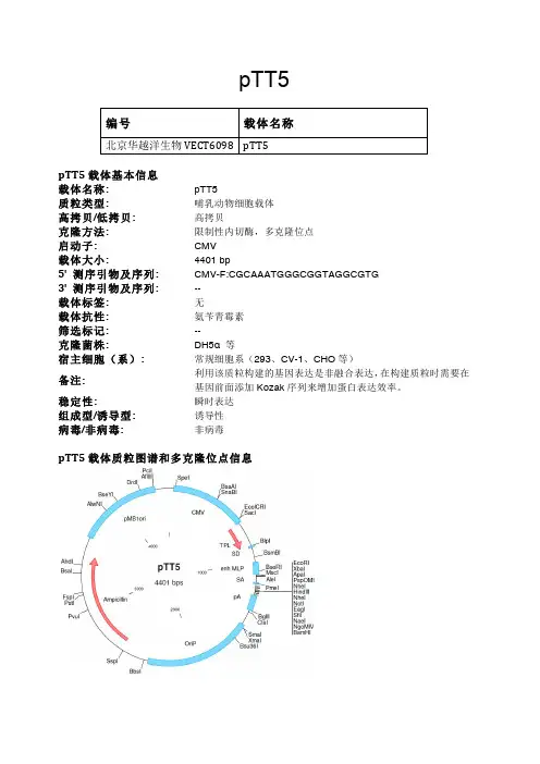 pTT5哺乳动物表达载体说明