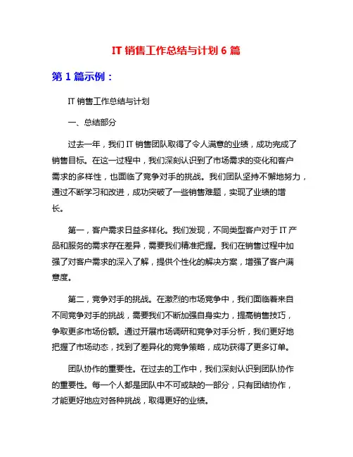 IT销售工作总结与计划6篇