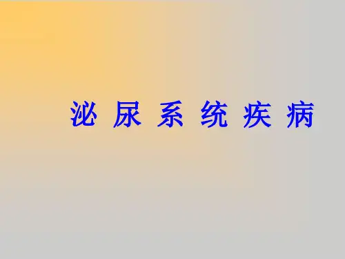 急性肾炎PPT课件