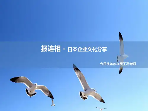 报连相-日本企业文化分享 