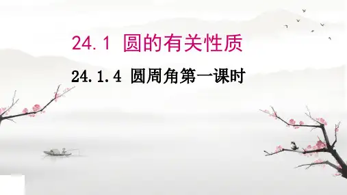 24.1.4 圆周角  课件  2024--2025学年人教版九年级数学上册