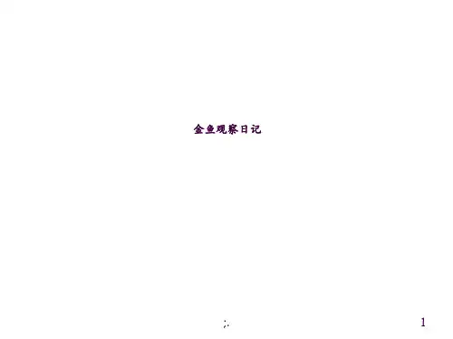金鱼观察日记作文ppt课件