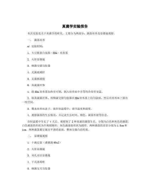 真菌学实验报告