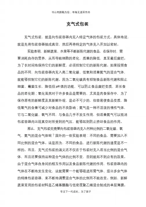 充气式包装